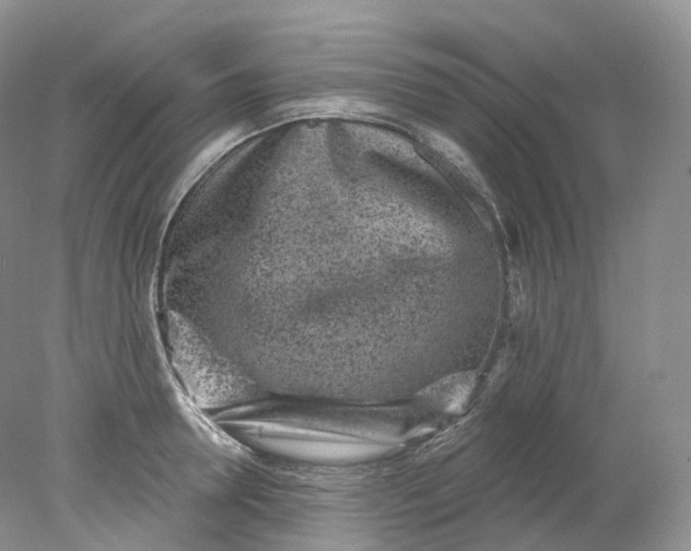 X0000078310946200611172211