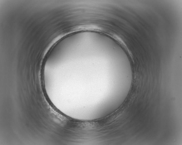 X0000078310947200611172211