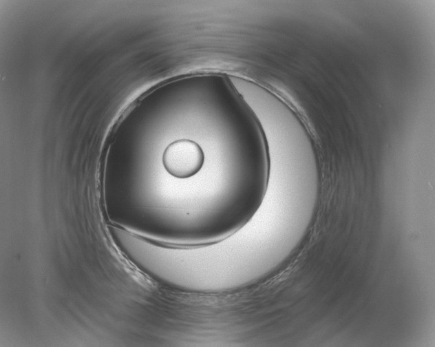 X0000078310948200611172211