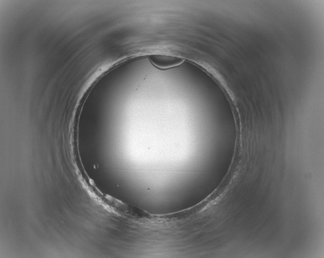 X0000078310949200611172211