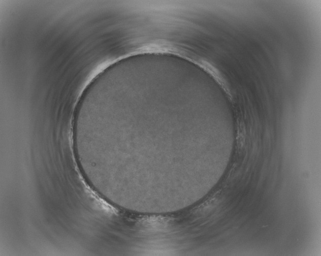 X0000078310950200611172211