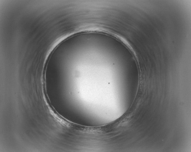 X0000078310951200611172211