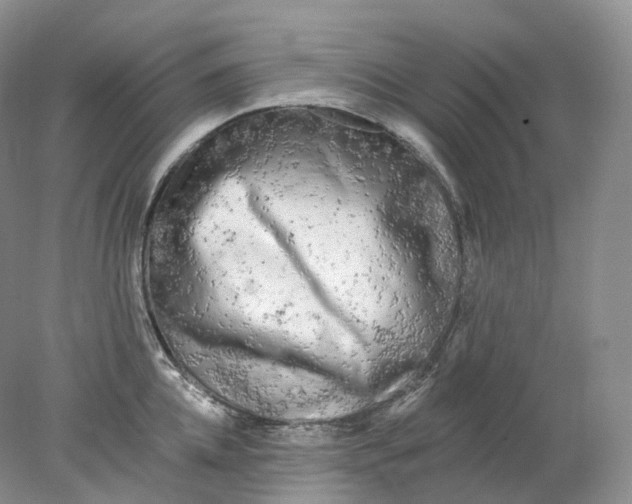 X0000078310952200611172211