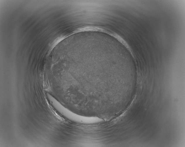 X0000078310953200611172211