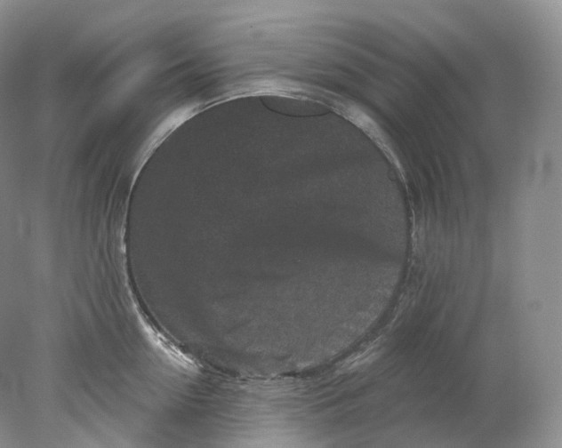 X0000078310954200611172211