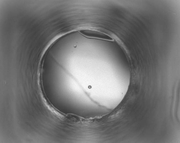 X0000078310955200611172211