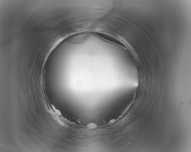 X0000078310956200611172211