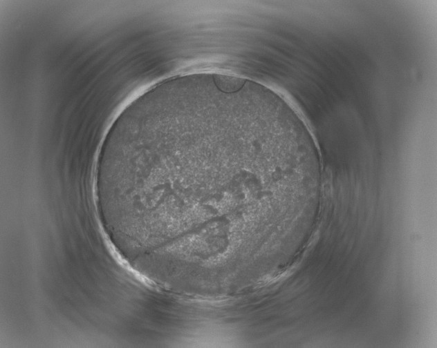 X0000078310957200611172211