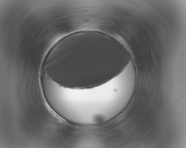 X0000078310958200611172211