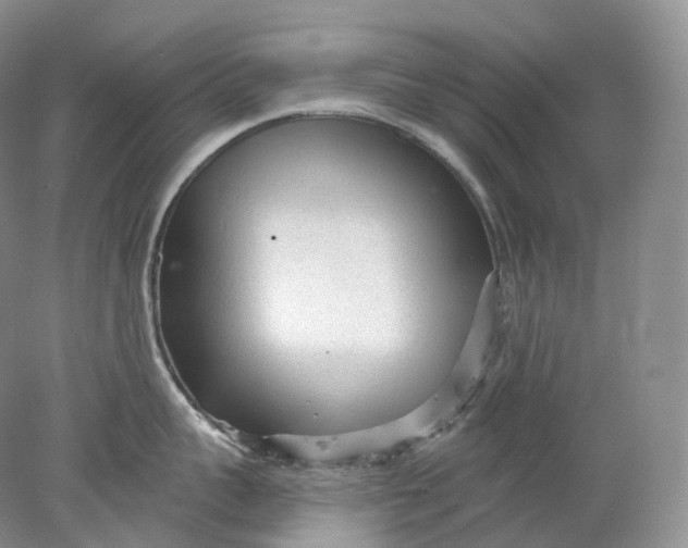 X0000078310959200611172211