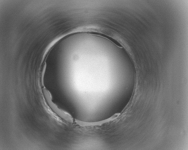 X0000078310960200611172211