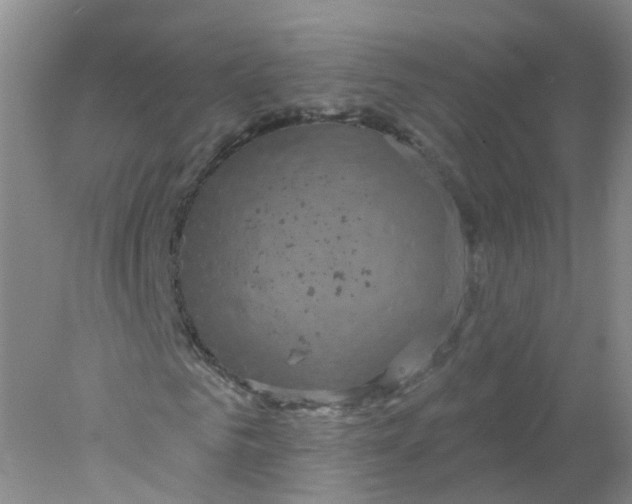 X0000078310961200611172211