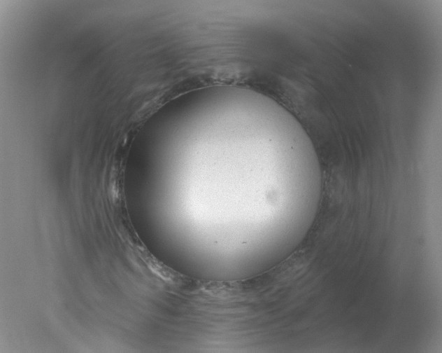 X0000078310962200611172210