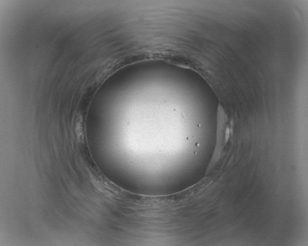 X0000078310963200611172210