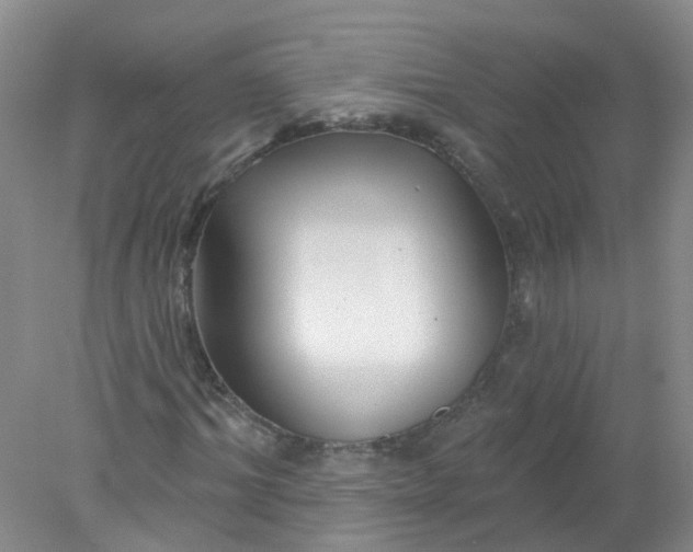 X0000078310964200611172210