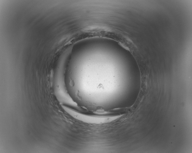 X0000078310965200611172210