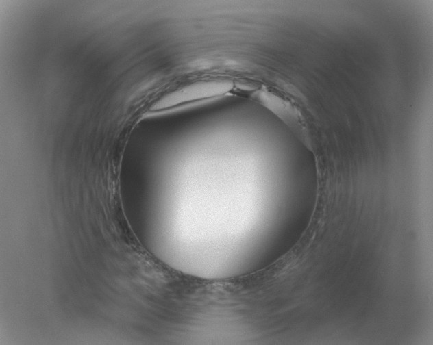 X0000078310966200611172210