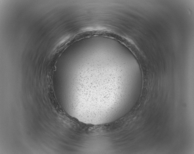 X0000078310967200611172210