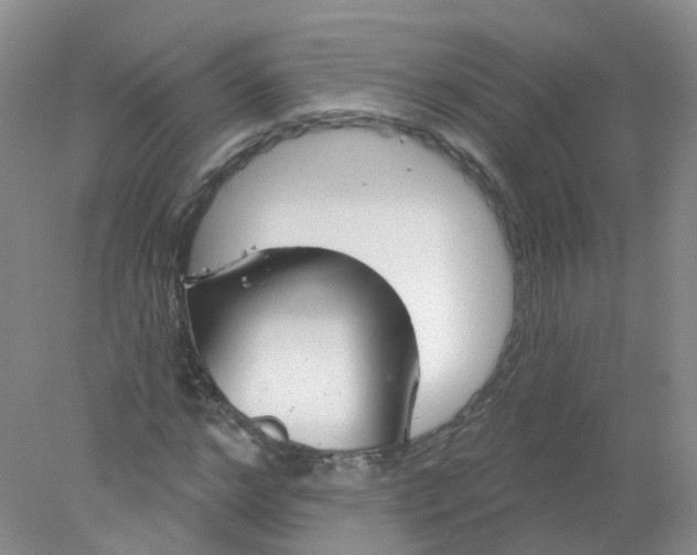 X0000078310968200611172210