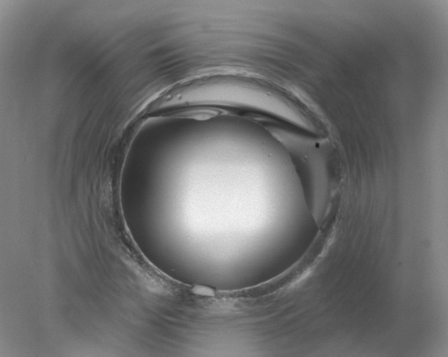 X0000078310969200611172210