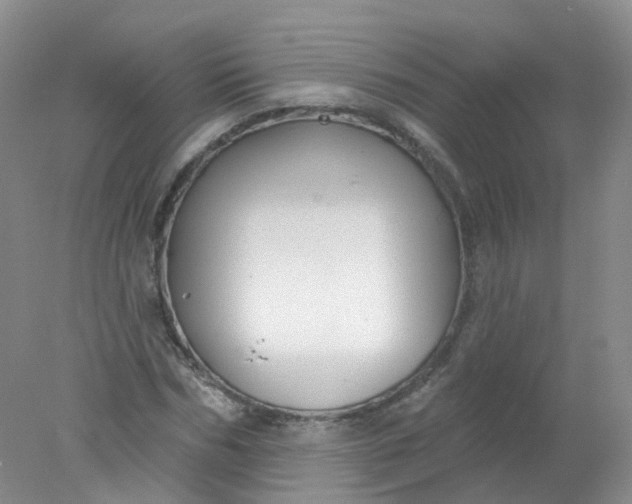 X0000078310970200611172210