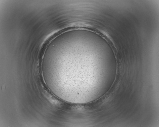 X0000078310971200611172210