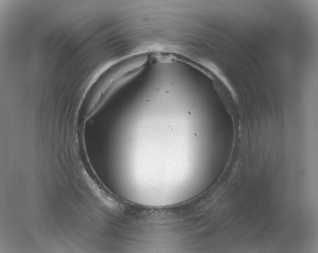 X0000078310972200611172210