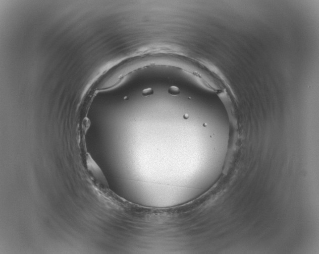 X0000078310973200611172210