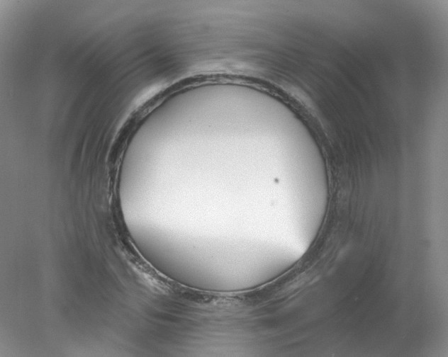 X0000078310974200611172210