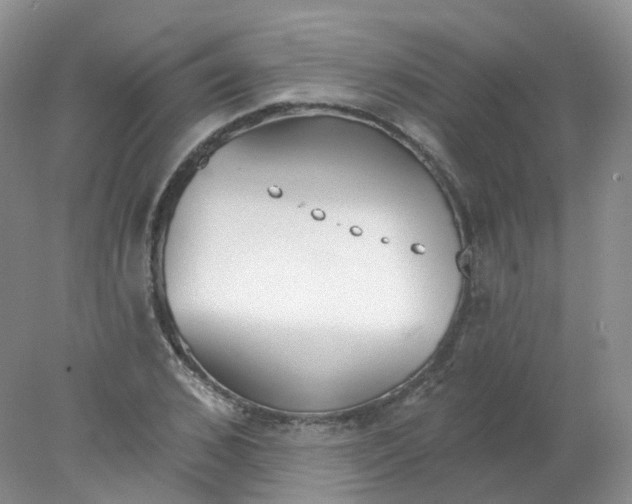 X0000078310976200611172210