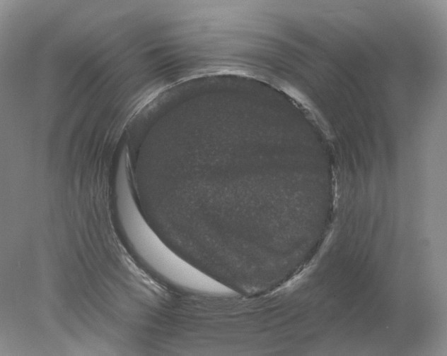 X0000078310977200611172210