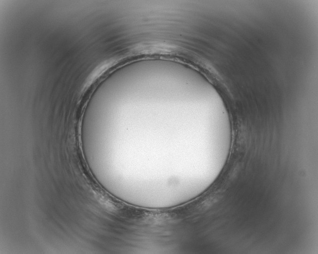 X0000078310978200611172210