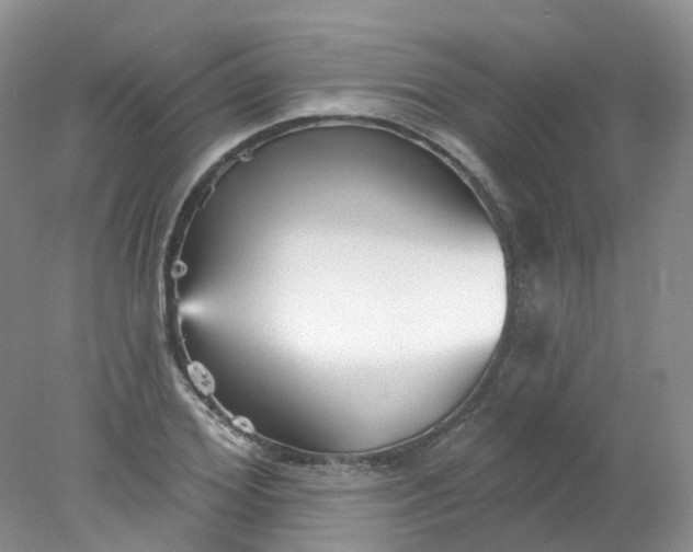 X0000078310980200611172210