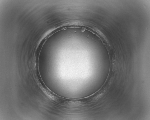 X0000078310981200611172210