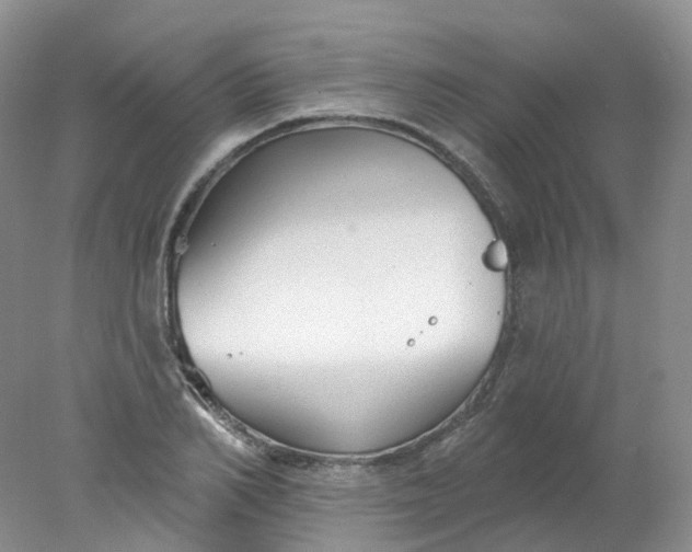 X0000078310982200611172210