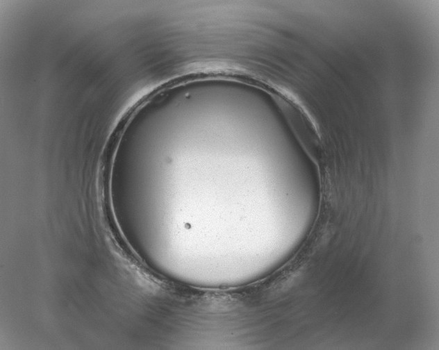 X0000078310983200611172210