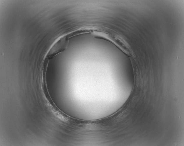 X0000078310984200611172210