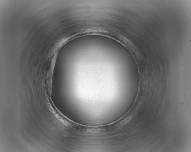 X0000078310985200611172210