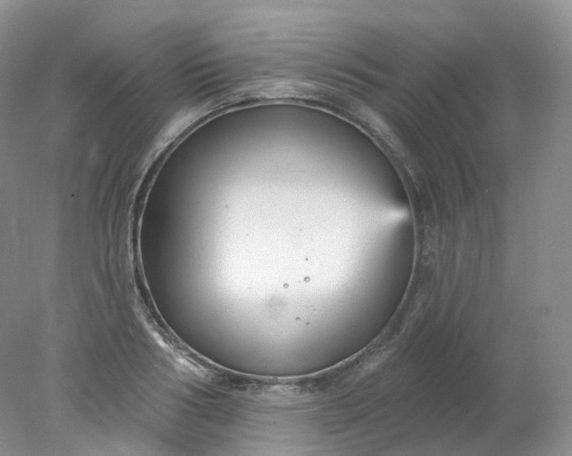 X0000078310986200611172210