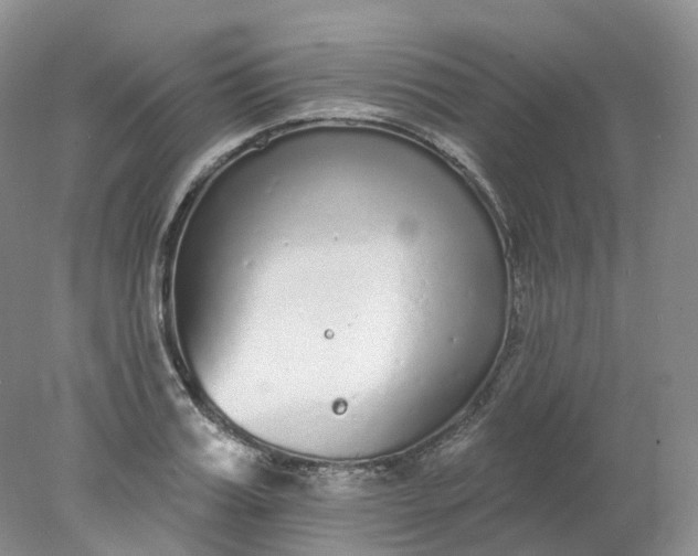 X0000078310987200611172210