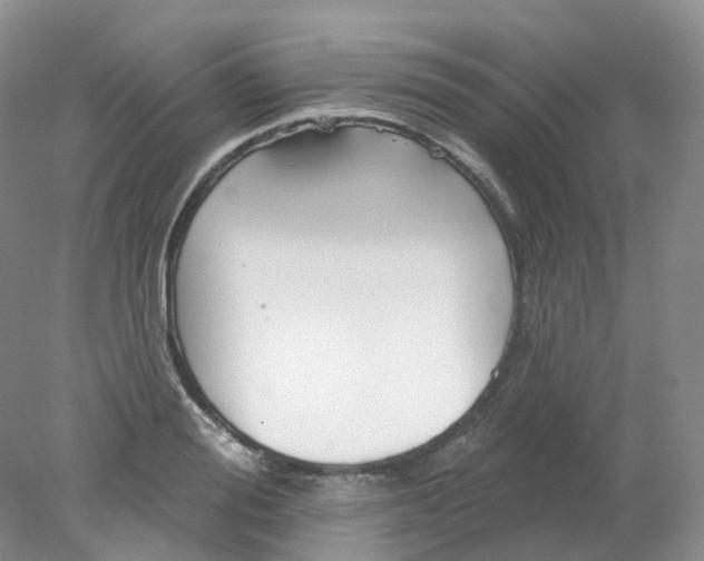 X0000078310988200611172210