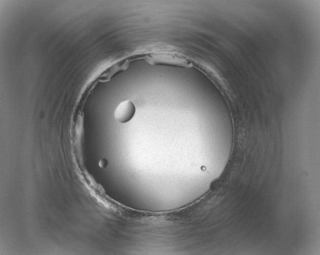 X0000078310990200611172210