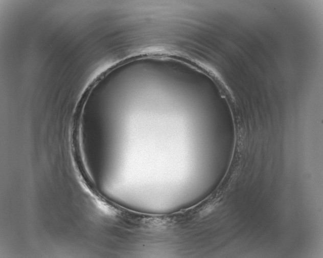 X0000078310991200611172210