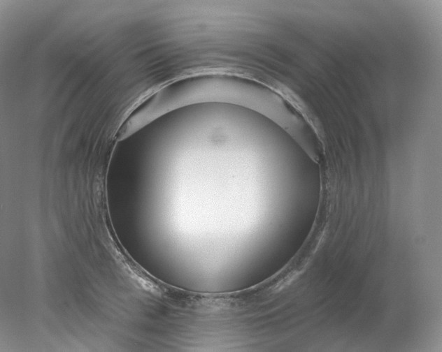 X0000078310993200611172210