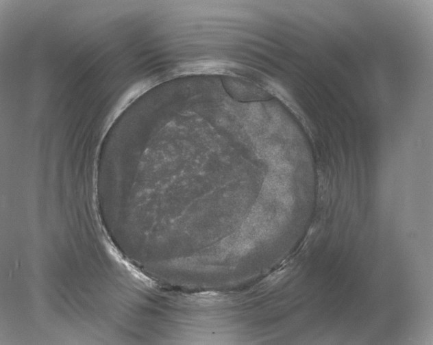 X0000078310994200611172210