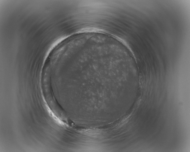 X0000078310995200611172210