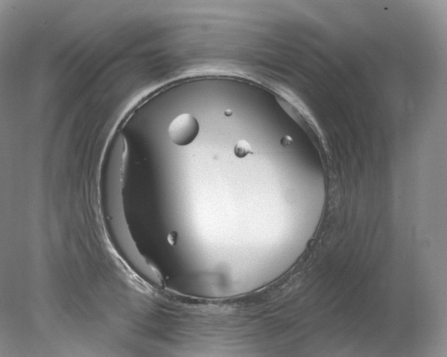 X0000078310996200611172210