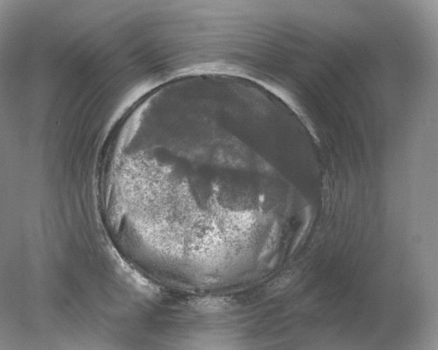 X0000078310998200611172210