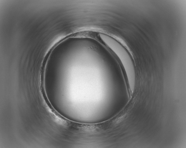 X0000078310999200611172210