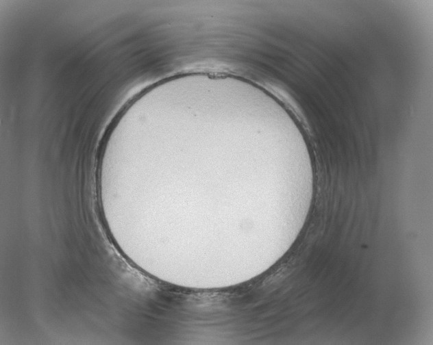 X0000078311000200611172210